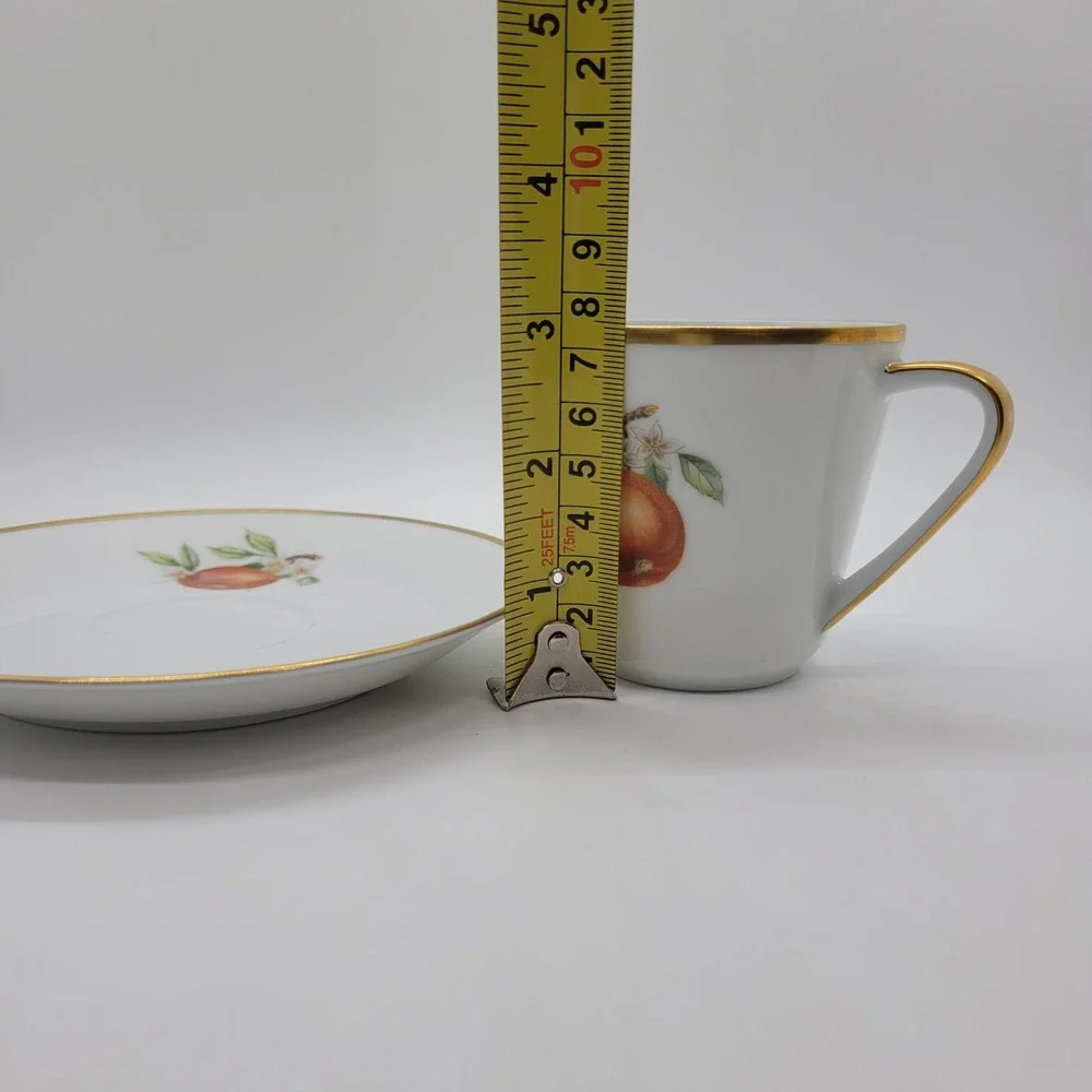 Hutschenreuther Noblesse Pasco Demitasse Cup Saucer Set Orange Gold Germany‎